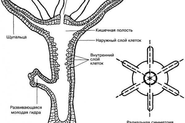 Кракен площадка зеркало