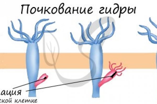 Ссылки для даркнета