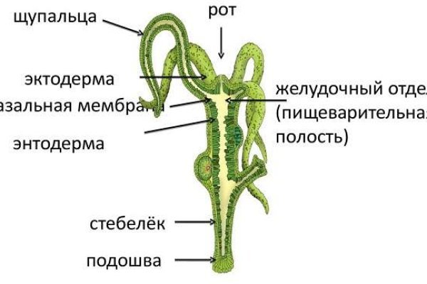 Кракен 20 at